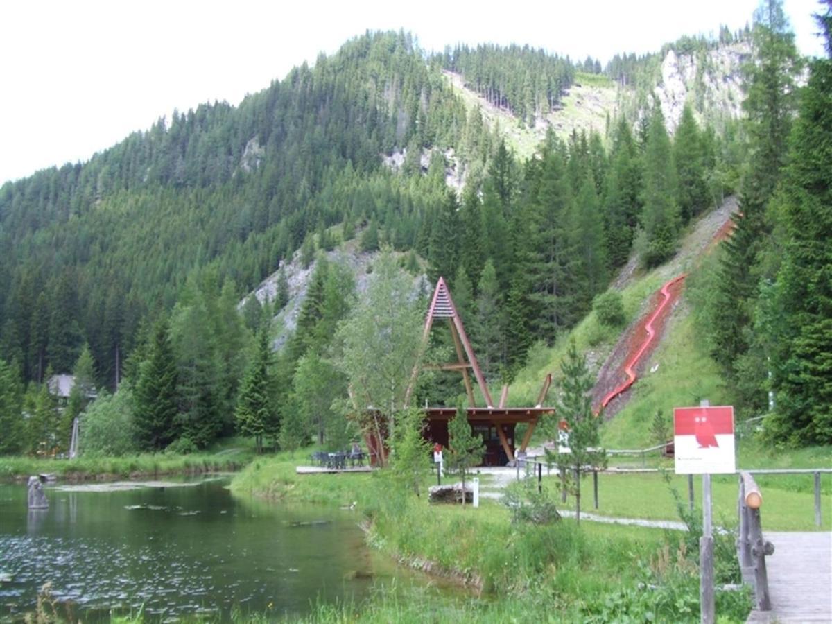 Chalet In Hohentauern With In House Wellness المظهر الخارجي الصورة